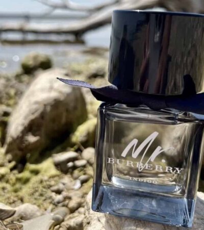 8 Best Burberry Colognes for Men 2026
