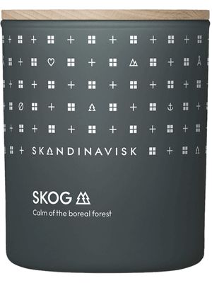 Skandinavisk Skog — Calm Of The Boreal Forest