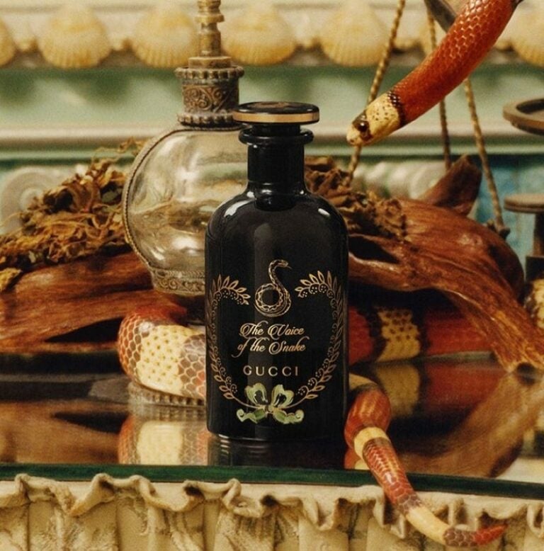 8 Best Gucci Colognes For Men – Head-Turning Scents for 2026 | FashionBeans