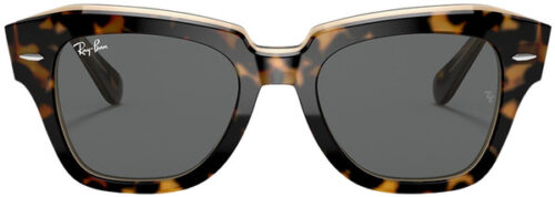 Ray-Ban State Street Wayfarer Sunglasses