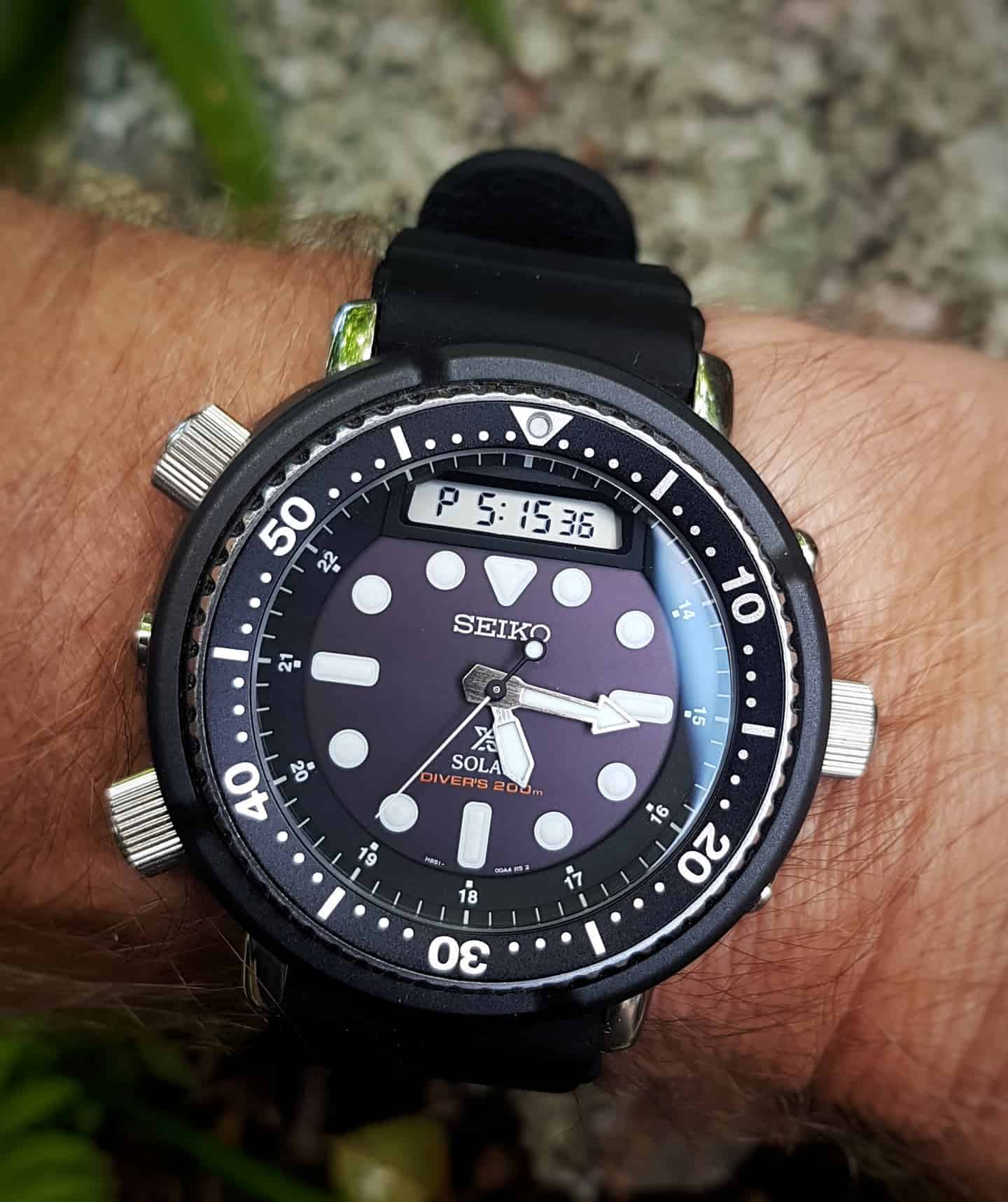 wearing a solar dive watch