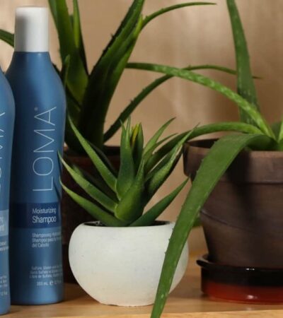 8 Best Natural Shampoos For Men In 2026