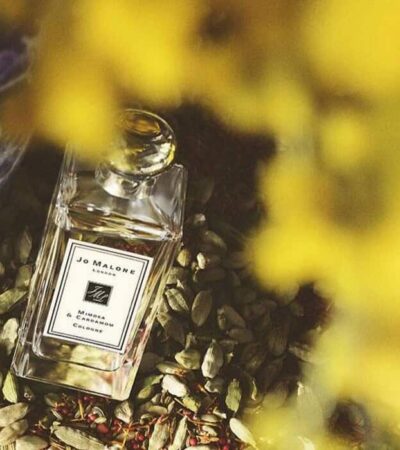 6 Best Cardamom Fragrances: Warm, Comforting Scents in 2026