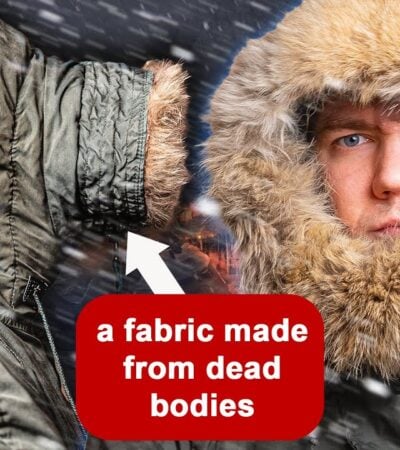 Alpha Industries N3B Parka Review: How a Military Jacket Revolutionized Cold Weather Gear