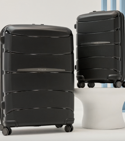 The Luggage Pick Rising Fast With Winter Travelers