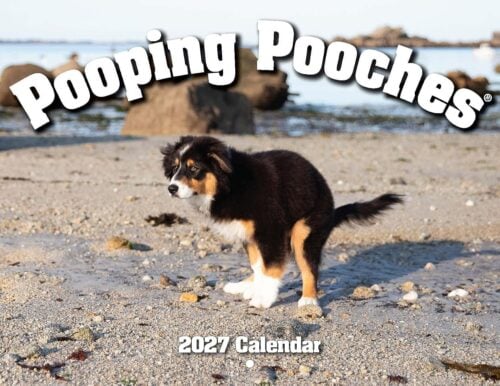 Pooping Pooches 2027 Calendar